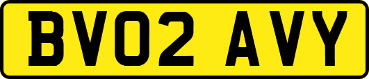 BV02AVY