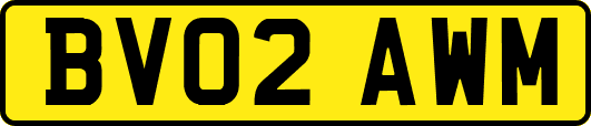 BV02AWM