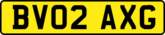 BV02AXG