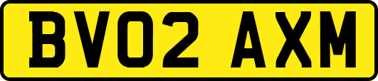 BV02AXM