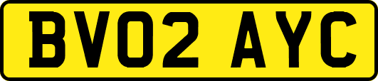 BV02AYC