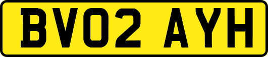 BV02AYH