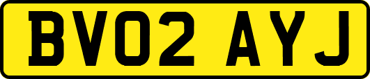 BV02AYJ