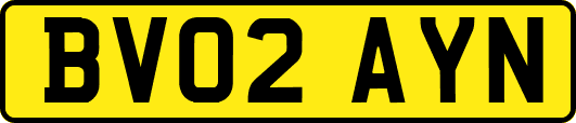BV02AYN