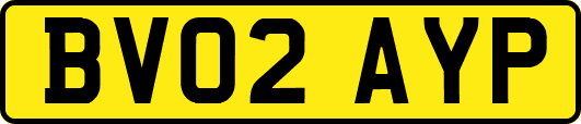 BV02AYP