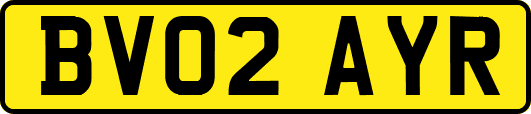 BV02AYR