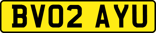 BV02AYU