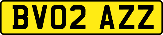 BV02AZZ