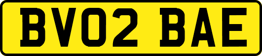 BV02BAE