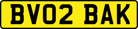 BV02BAK