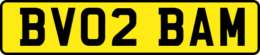 BV02BAM