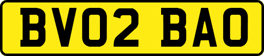 BV02BAO