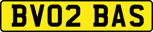 BV02BAS