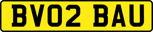 BV02BAU