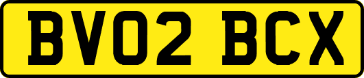 BV02BCX