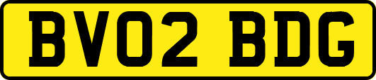 BV02BDG