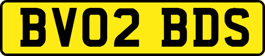 BV02BDS