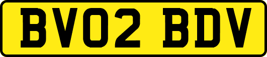 BV02BDV