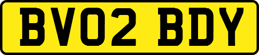 BV02BDY