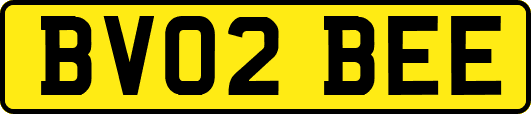 BV02BEE