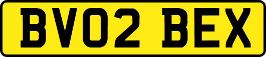 BV02BEX