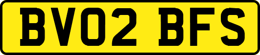 BV02BFS