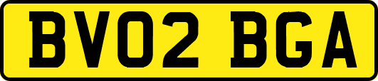 BV02BGA