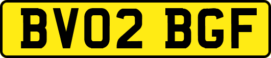BV02BGF