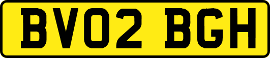 BV02BGH