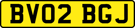 BV02BGJ