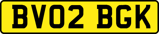BV02BGK