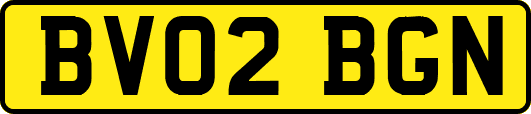 BV02BGN