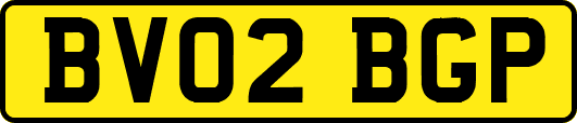BV02BGP