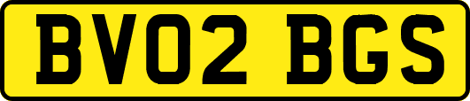 BV02BGS