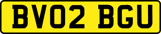 BV02BGU