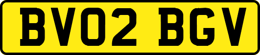 BV02BGV