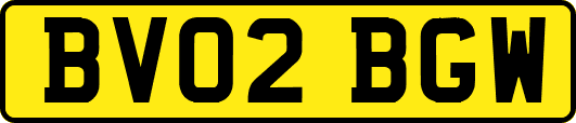 BV02BGW