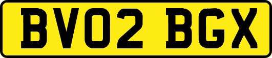 BV02BGX