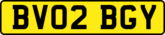 BV02BGY