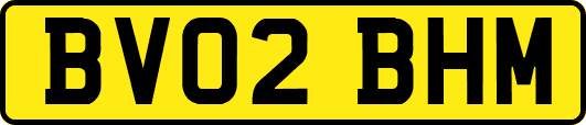 BV02BHM