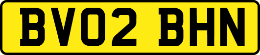 BV02BHN