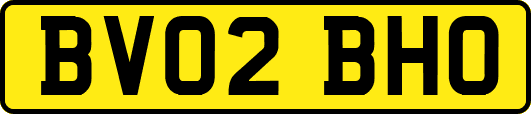 BV02BHO