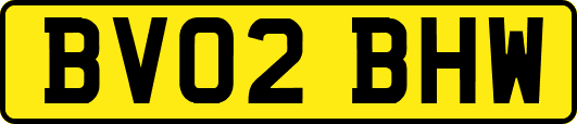 BV02BHW