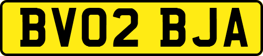 BV02BJA