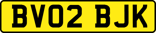 BV02BJK