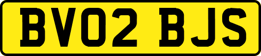 BV02BJS