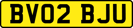 BV02BJU