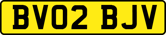 BV02BJV