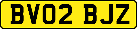 BV02BJZ