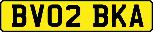 BV02BKA